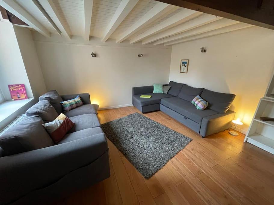 Joli Canut - Proche De Fourviere - 6 Couchages Lyon Dış mekan fotoğraf